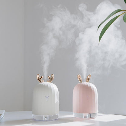 Ultrasonic Air Humidifier & Oil Diffuser